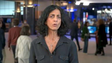 Високопоставеният евродепутат Мария Арена се оттегли от поста си на