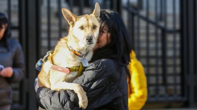 Национален протест срещу насилието над животни събра десетки в редица