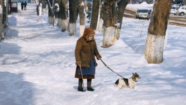 Узбекистанският президент Шавкат Мирзийоев уволни кмета на Ташкент Джахонгир Артъкходжаев
