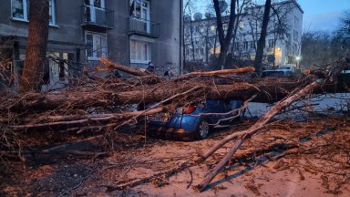 Обявено е частично бедствено положение във Враца заради ураганния вятър