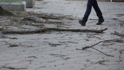 Отново жълт код за силен вятър в София, от общината предупредиха гражданите да са внимателни