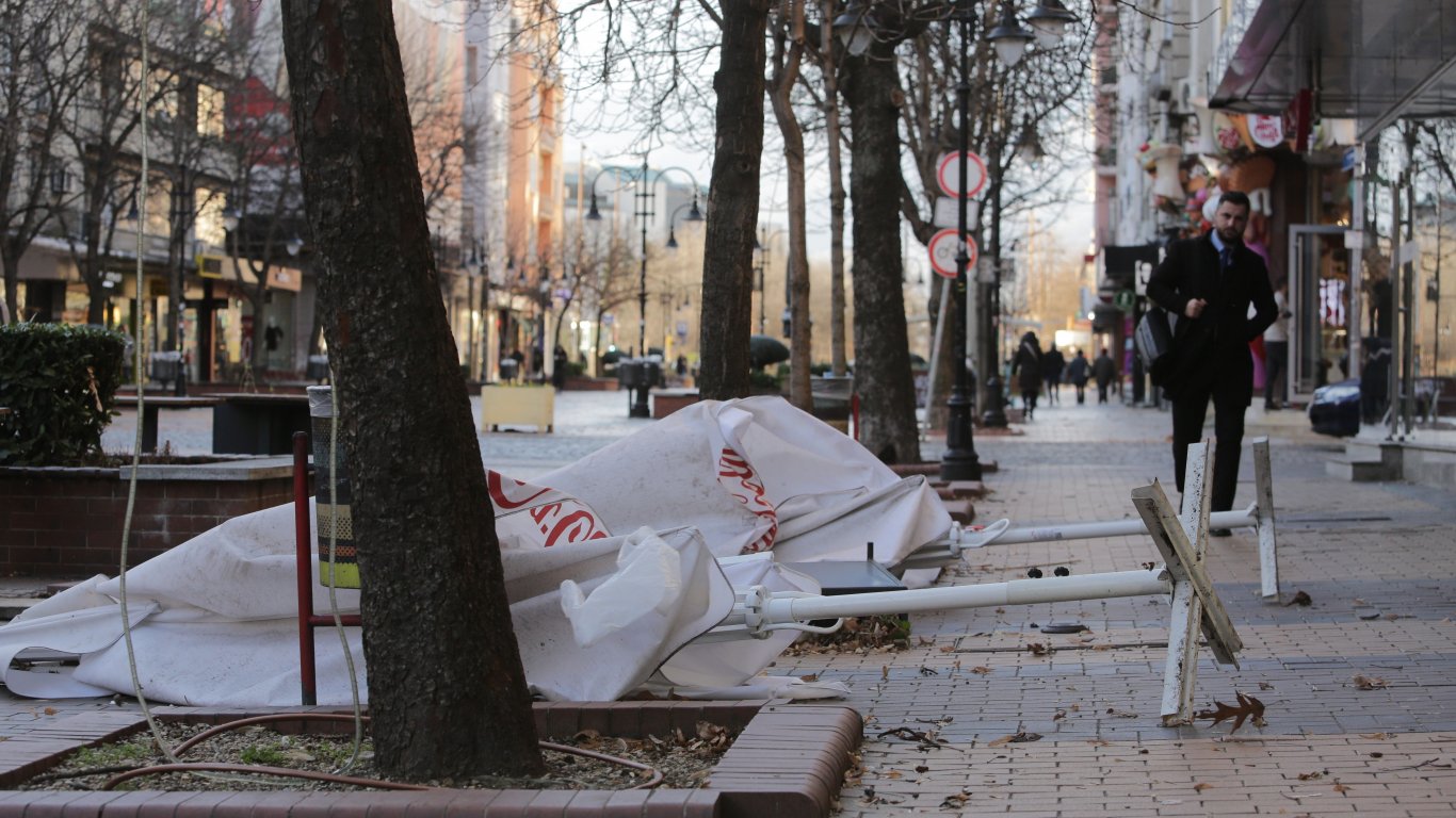 Частично бедствено положение заради вятъра във Враца, в София - над 30 сигнала за паднали клони