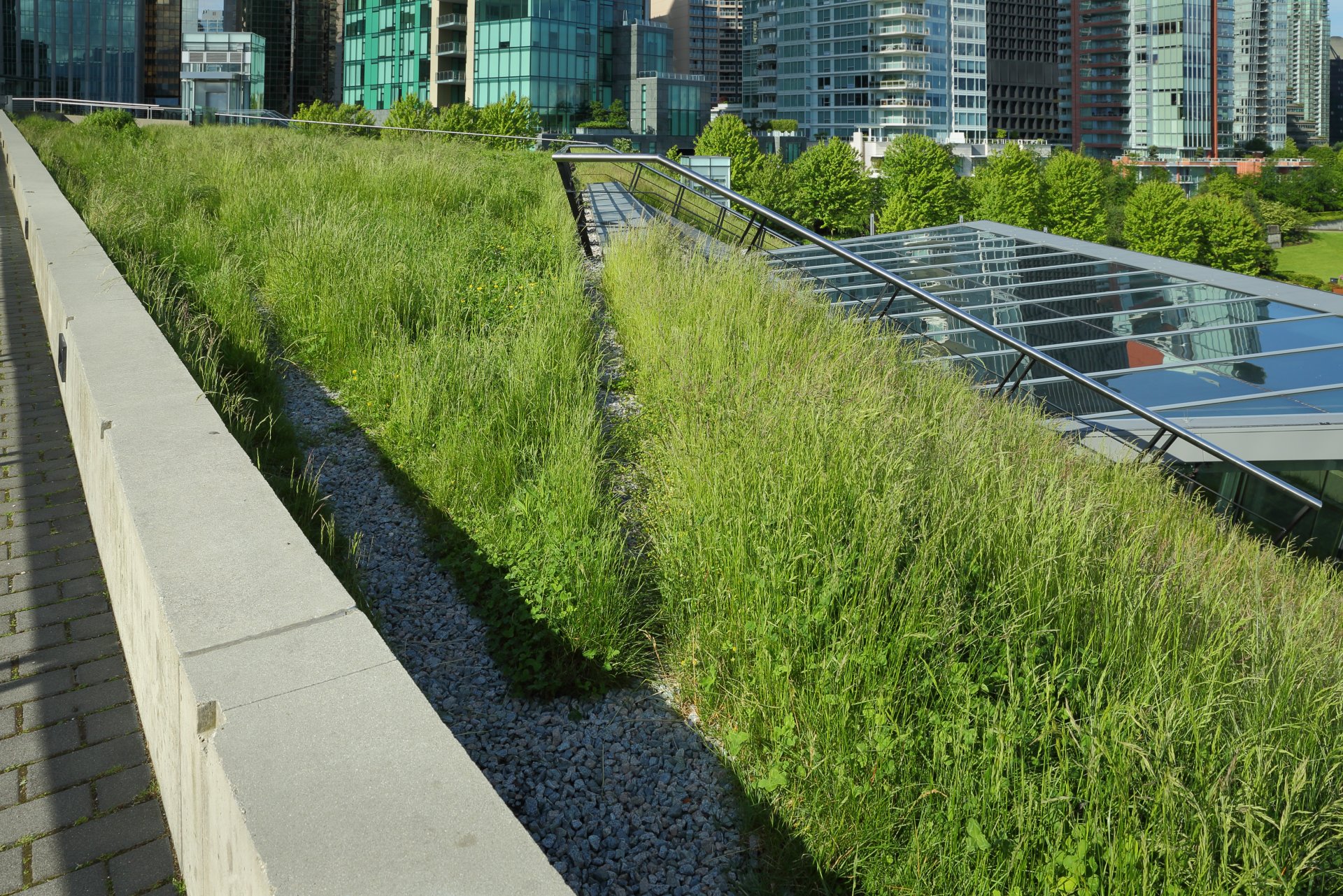 Зелени покриви в чужбина, в комбинация с фотоволтаици 