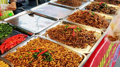 След като преди седмица бе приета директива на ЕС която