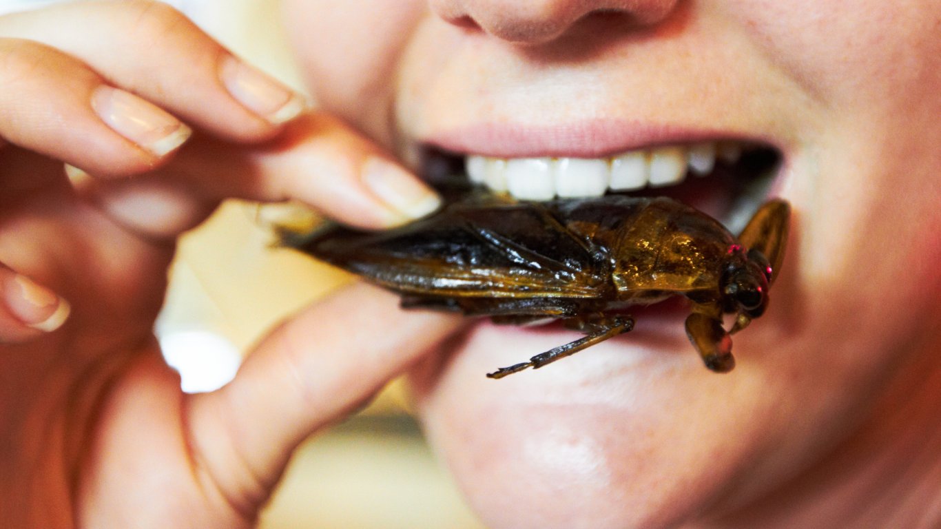 Полски учени: Ядливите насекоми могат да са носители на патогени