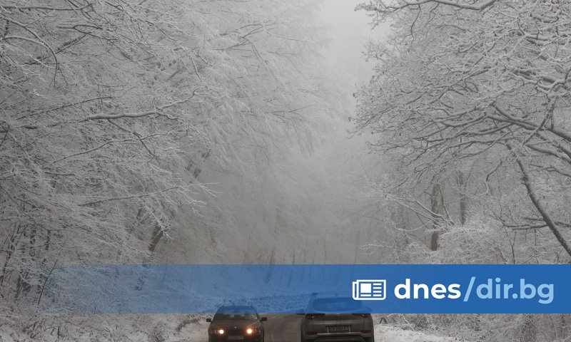 Тежка катастрофа е затворила пътя за Дунав мост 2 в