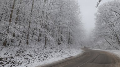 Сняг в края на юни изненада шофьорите на натоварен проход в Източна Турция (видео)