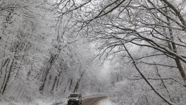 Дърво падна върху автомобил който изкачвал прохода Шипка от северната