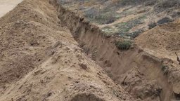 Разораните дюни край Несебър ще бъдат възстановени