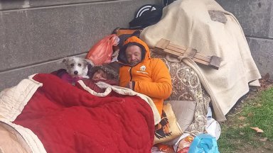 Семейство от Варна бедства на улицата с цялата си покъщнина, не го пускат в приют заради кучето