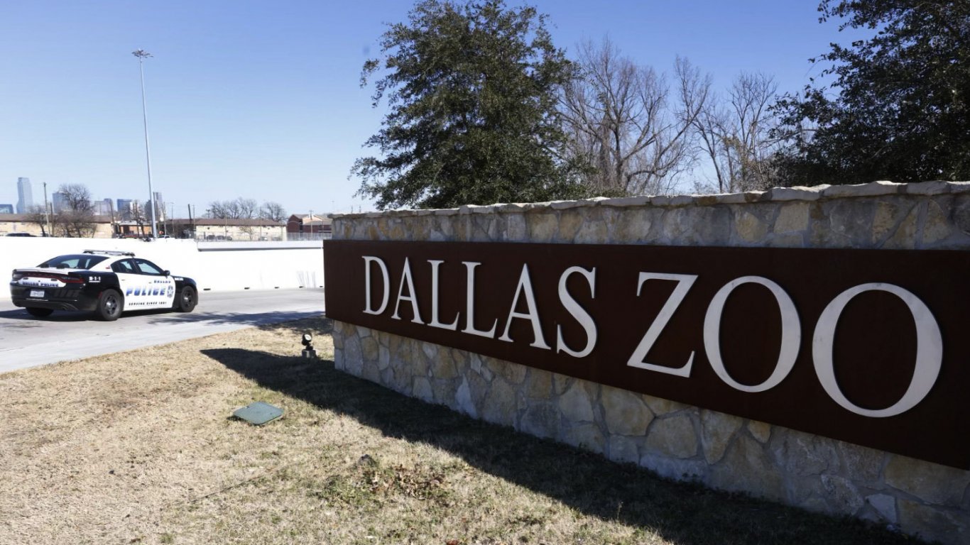 Необяснима поредица от загинали и изчезнали през дупки животни от най-големия зоопарк в Тексас