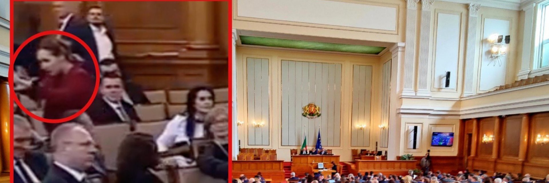 Депутатка от ДБ анатемоса "Възраждане" в пленарната зала (видео)