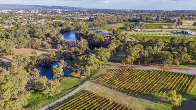 16 годишна тийнейджърка загуби живота си след нападение от акула в