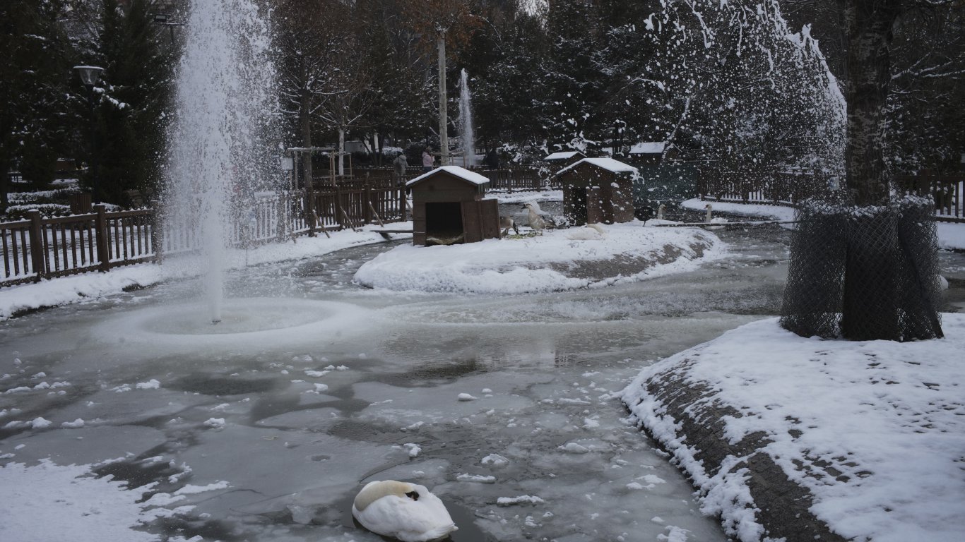 Замръзнал басейн в градски парк в Анкара