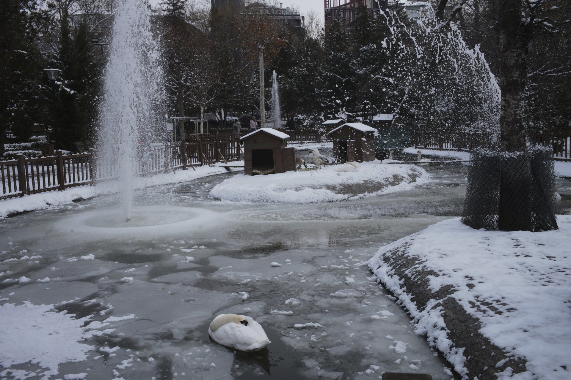 Замръзнал басейн в градски парк в Анкара