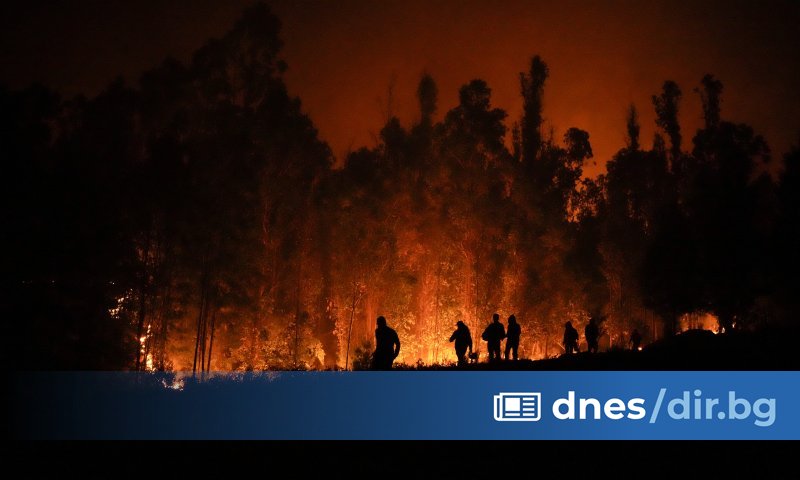 Пожарникарите се борят с десетки бушуващи горски пожари в Чили,