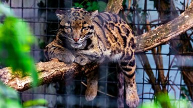 Община Пловдив няма да кандидатства за довършването на зоологическата градина