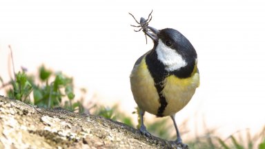 Ако един от неприятните моменти за вас на днешния двоен
