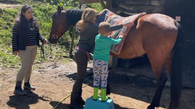 Конната база Ахил се нуждае от помощ за да запази