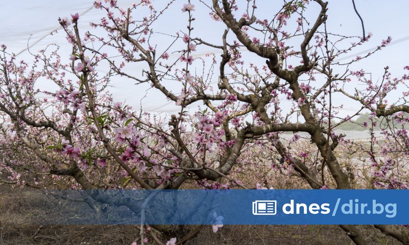 Задържани са трима мъже от град Сливен за повреждане и