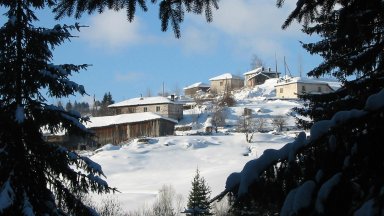 Майка и син са открити мъртви в дома им в