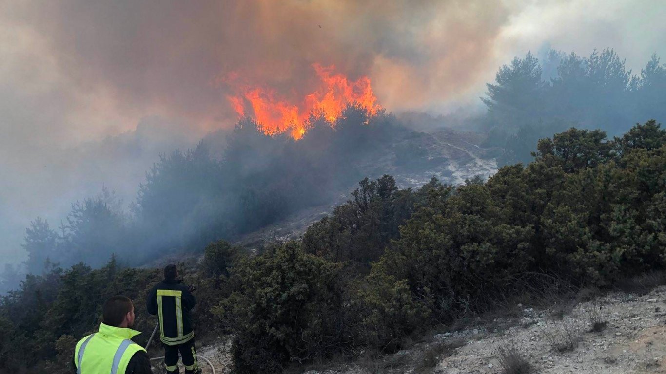 Голям пожар бушува край Елешница (снимки)