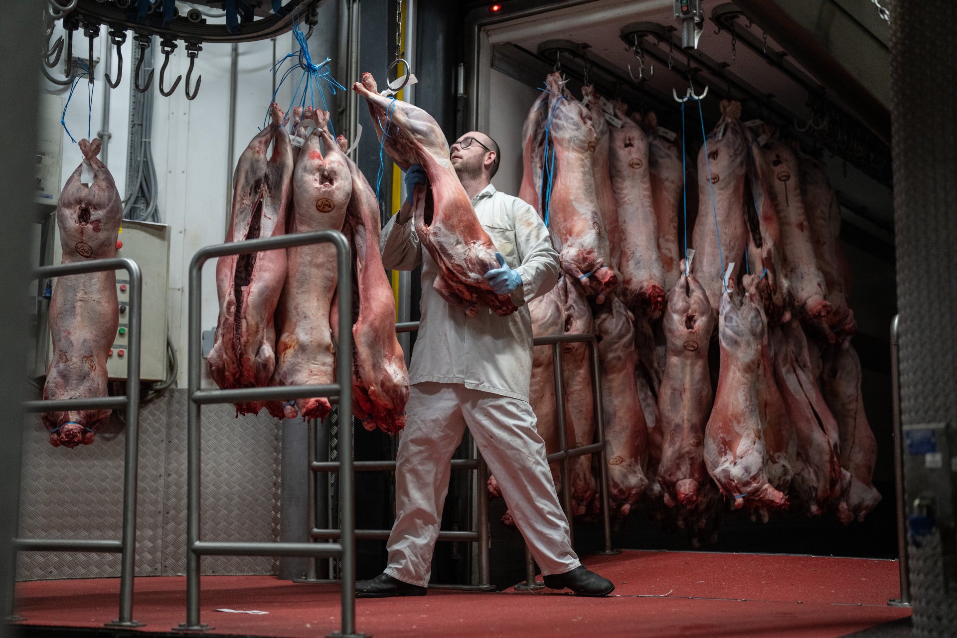 Разтоварат свинско месо на легендарен пазар в Лондон