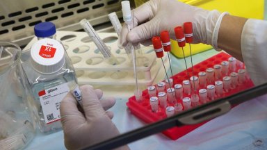 255 случая на новия коронавирус са потвърдени в страната за