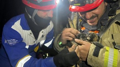 Международната организация за защита на животни Четири лапи предоставя целия си