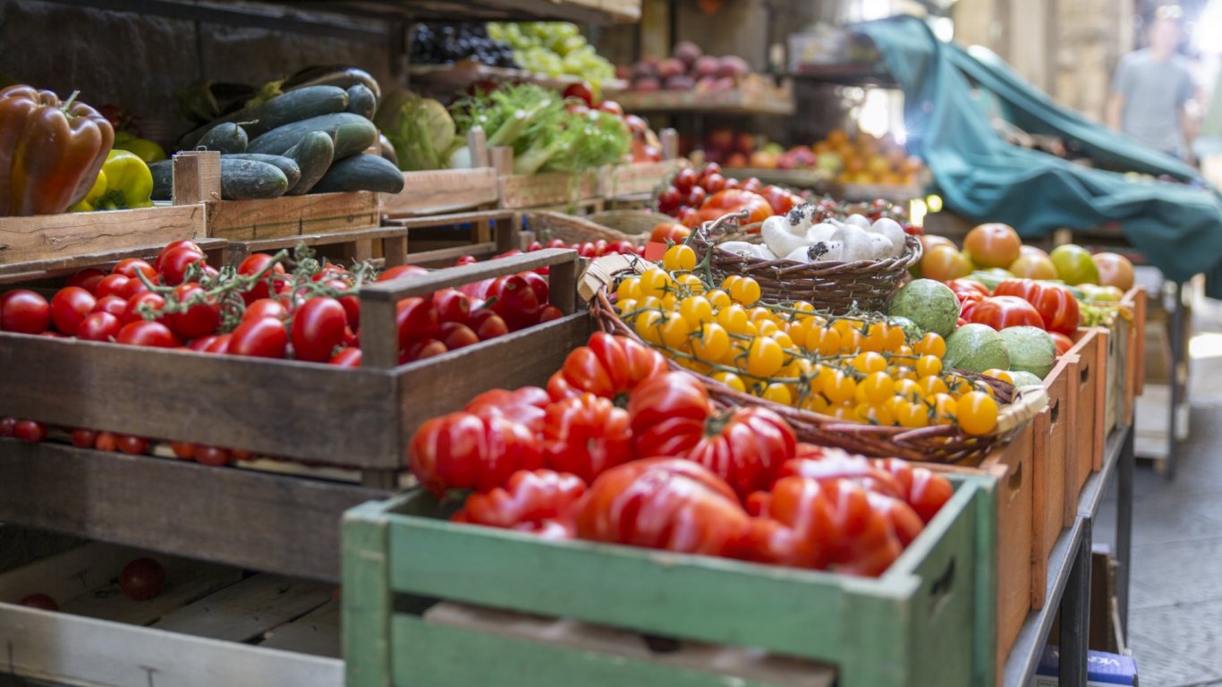 В гетата на Алмерия: как се берат домати за Европа