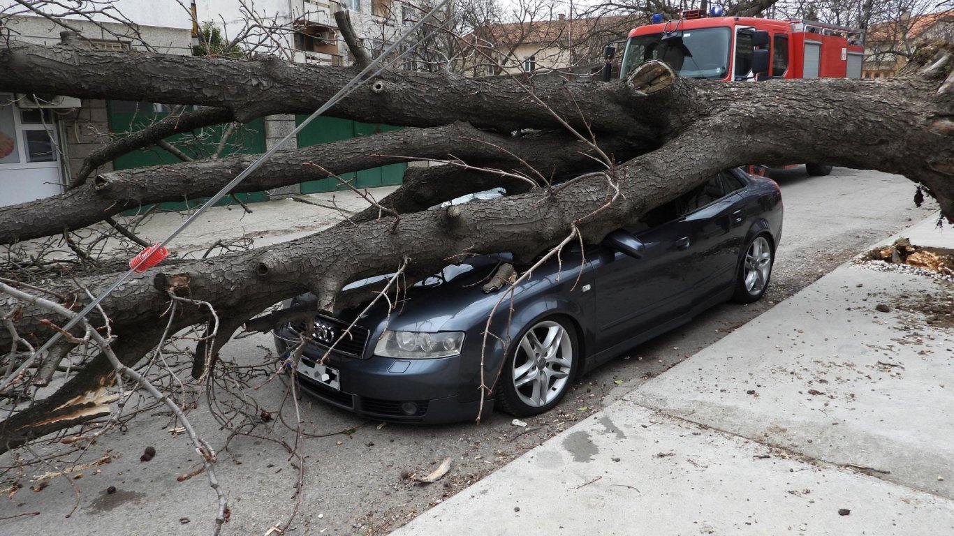 Заради силния вятър: Голямо дърво падна върху кола, шофьорът й по чудо е невредим (снимки)