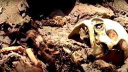 Археолози откриха в Перу 30 гроба отпреди епохата на инките
