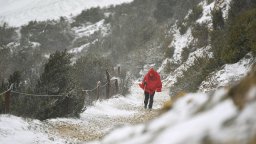В зимните планински курорти има добри условия за туризъм, посочиха от Планинската спасителна служба на БЧК