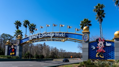 Затвориха Disney World във Флорида заради мечка (видео)