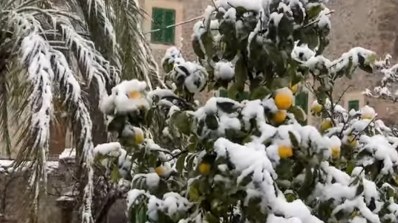 Спасителни екипи извеждат хора, блокирани в снеговете на Майорка (видео)