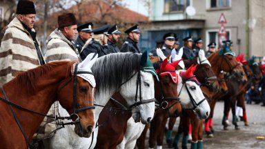 С традиционни демонстрации и състезания конната полиция към Столичната дирекция
