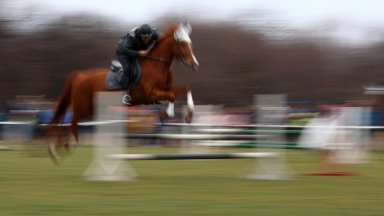 Кон е блъснал дете на кушиите в пернишкото село Дивотино