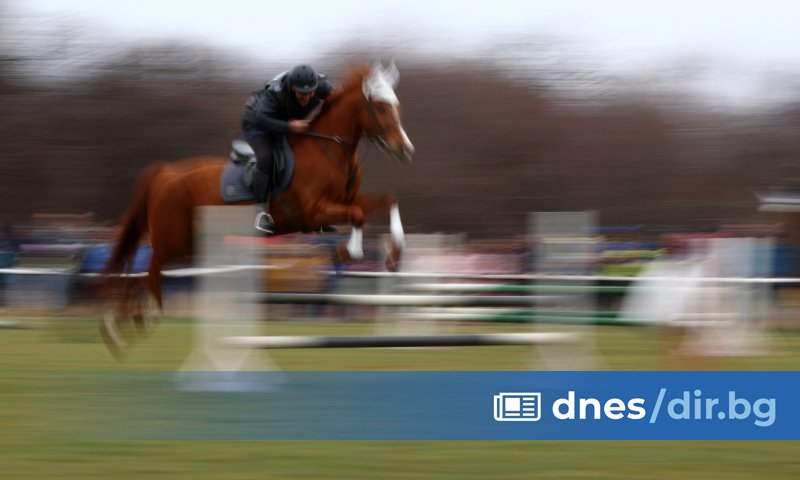 Кон е блъснал дете на кушиите в пернишкото село Дивотино.