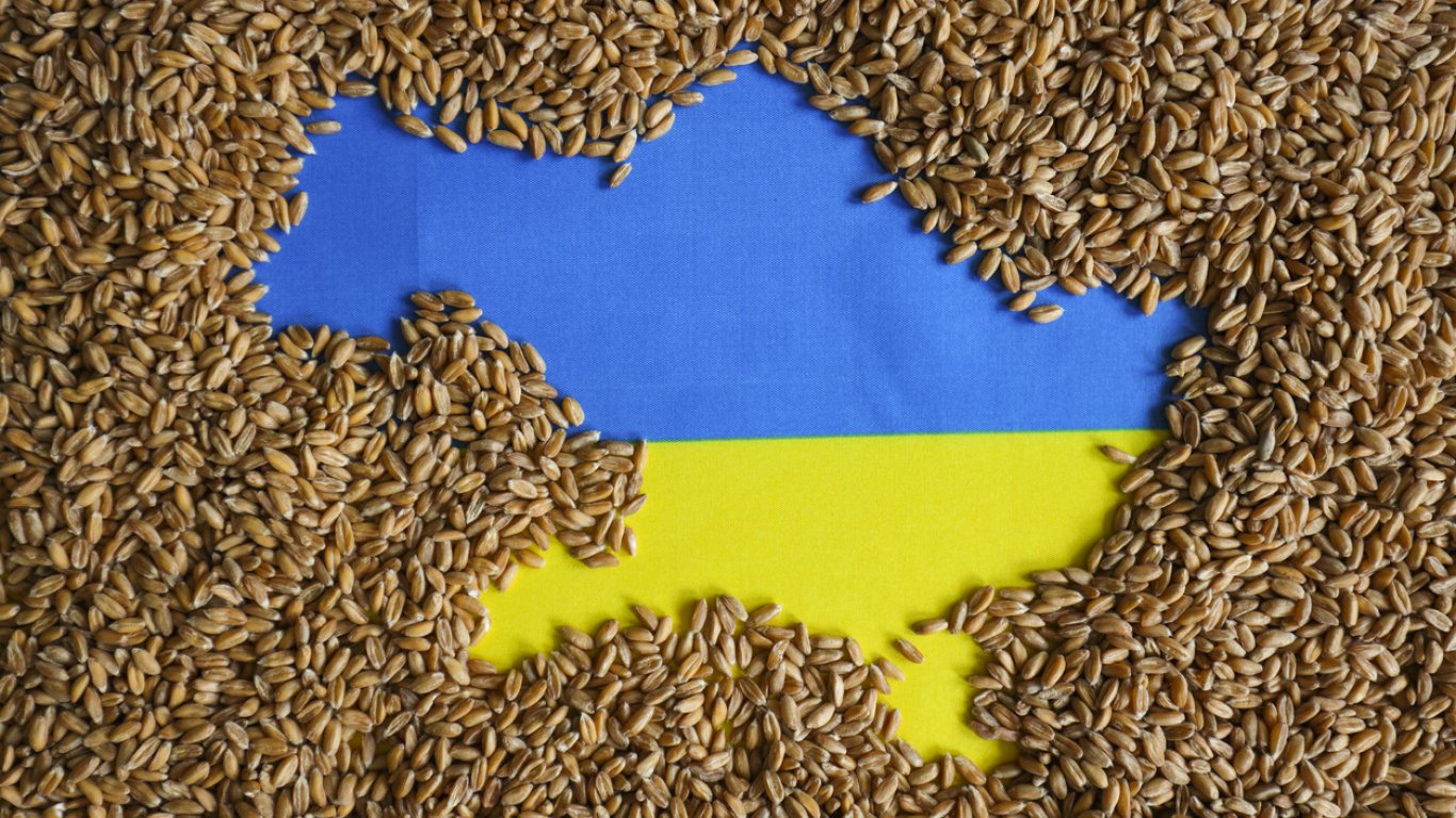 За година Украйна е изнесла зърнени и маслодайни култури за над 20 млрд. долара