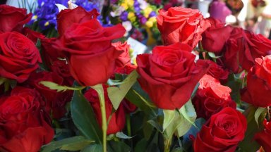 В деня в който най големите опашки са пред магазините за