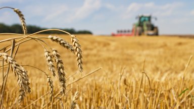 Зърнопроизводители от няколко области в Северна България излязоха на протест