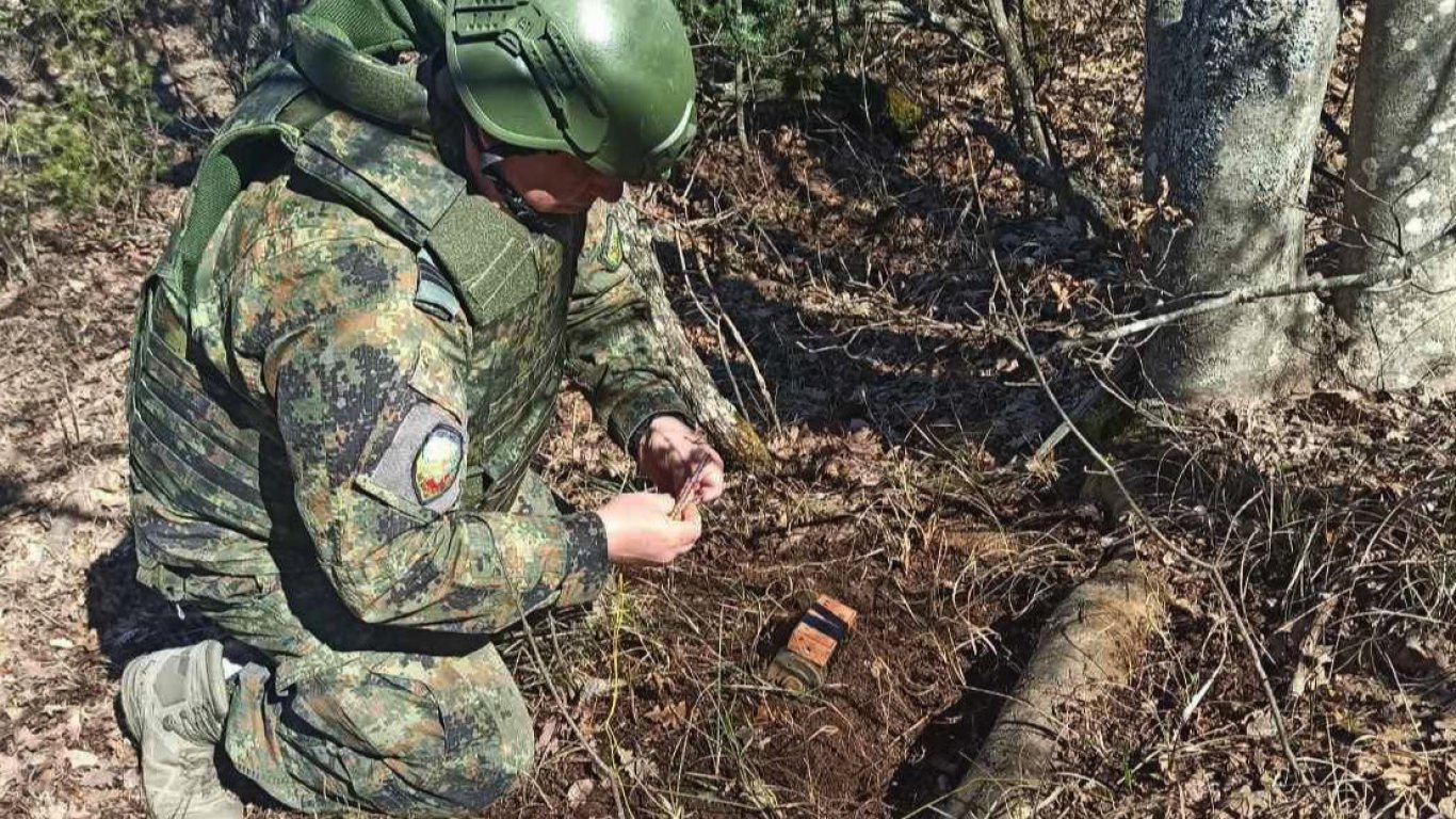 Военни от Хасково унищожиха противопехотна мина до границата край село Аврен