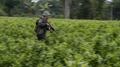 Употребата на кокаин в Европа се е увеличила като най високи