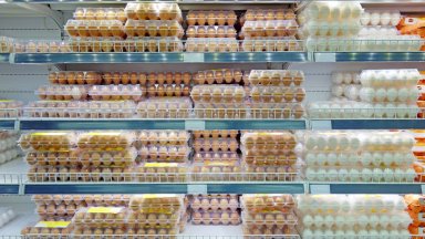  БАБХ ревизира украинските яйца за радиоактивност и тежки метали 