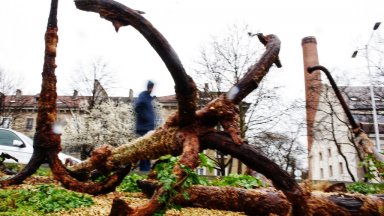 Представяне на древни корабни котви свидетелстващи за хилядолетната история на