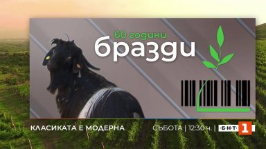 Една от емблемите на Българската национална телевизия единственото предаване