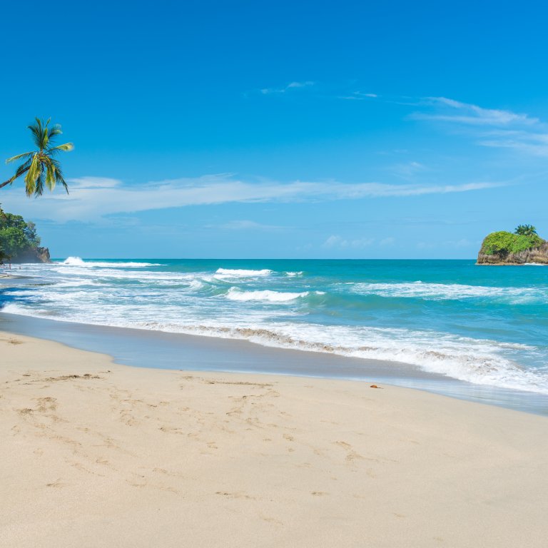Pura vida, Коста Рика - на плаж с енот в джунглата на "Кахуита"