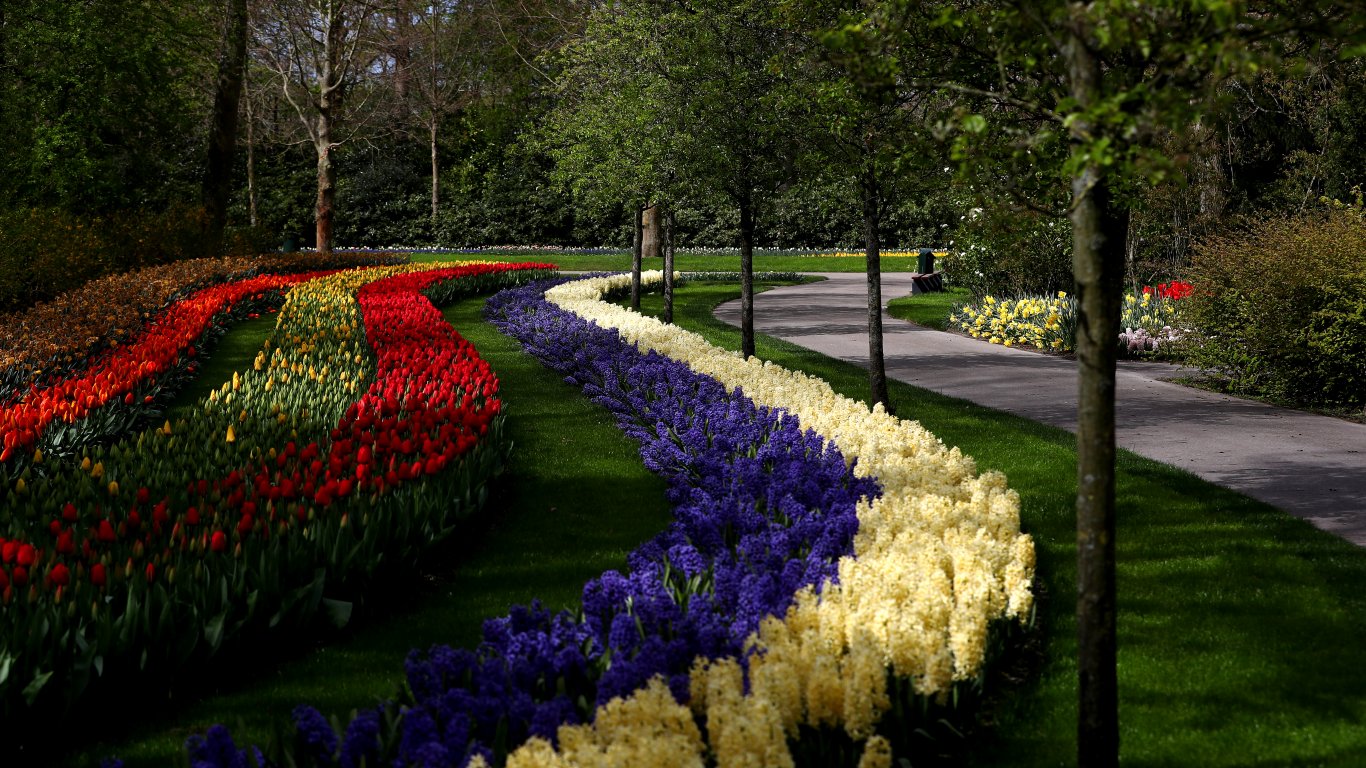 Най-големият парк за цветя в света "Кукенкоф" отново е отворен (снимки)