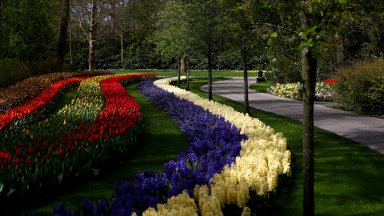 Независимо от променливото време пролетното настроение завладя Нидерландия Най големият парк