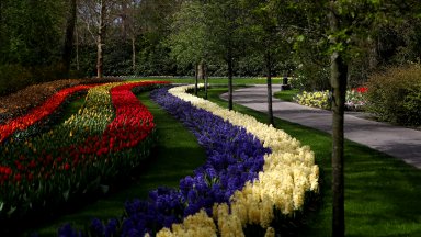 Независимо от променливото време пролетното настроение завладя Нидерландия Най големият парк
